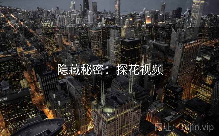 隐藏秘密：探花视频