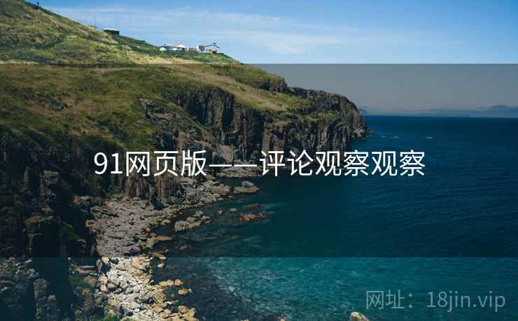91网页版——评论观察观察