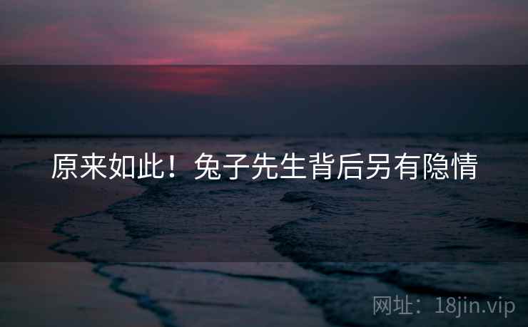 原来如此！兔子先生背后另有隐情