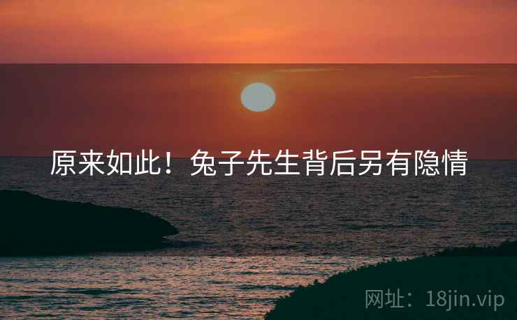 原来如此！兔子先生背后另有隐情