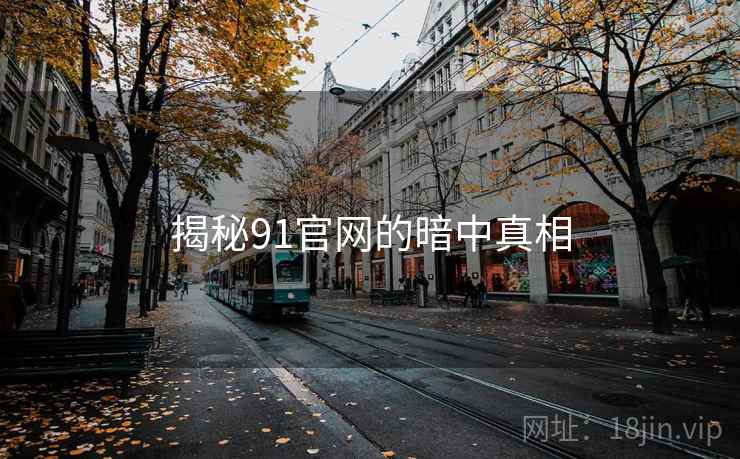 揭秘91官网的暗中真相