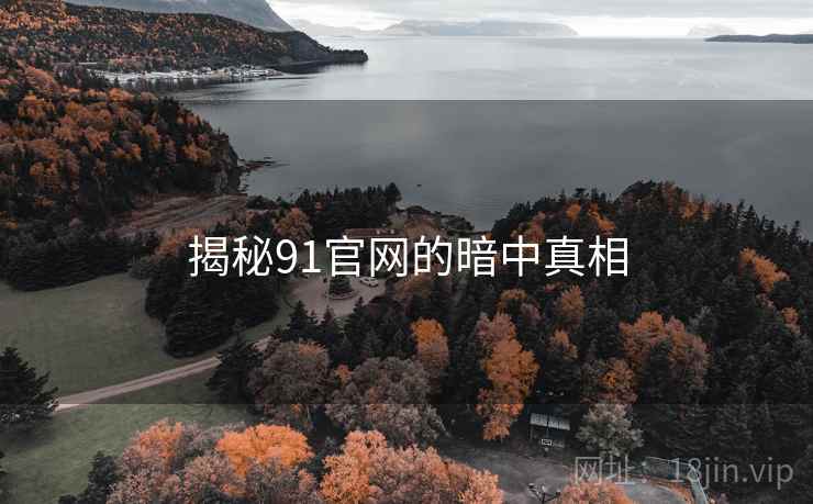 揭秘91官网的暗中真相