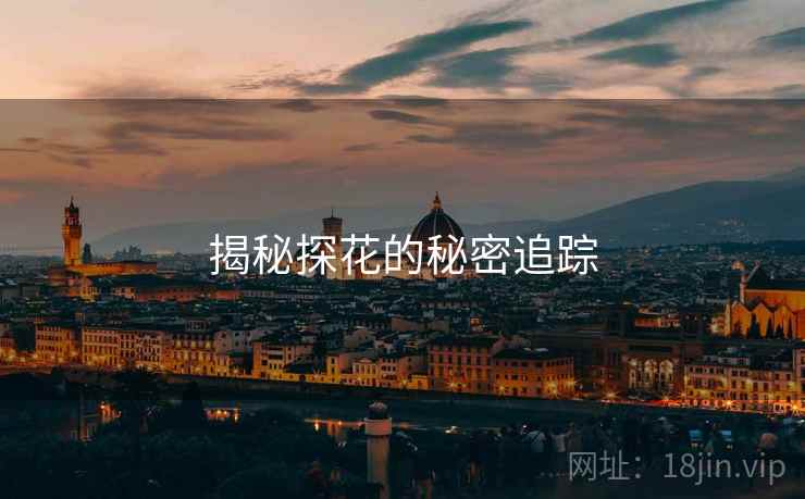 揭秘探花的秘密追踪