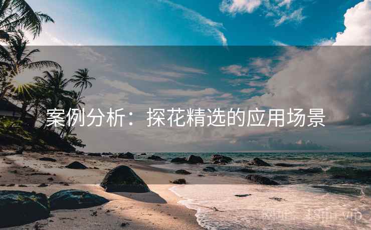 案例分析：探花精选的应用场景