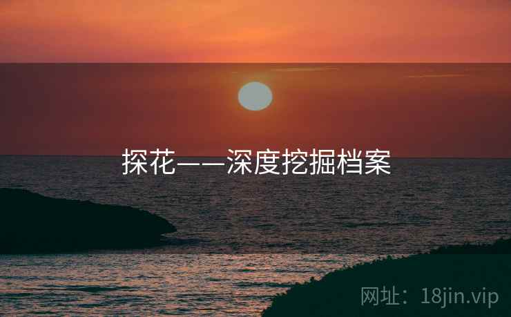 探花——深度挖掘档案