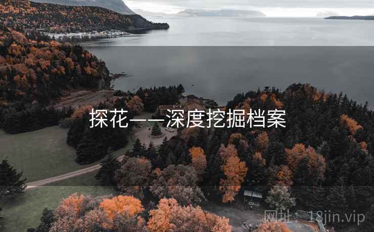探花——深度挖掘档案