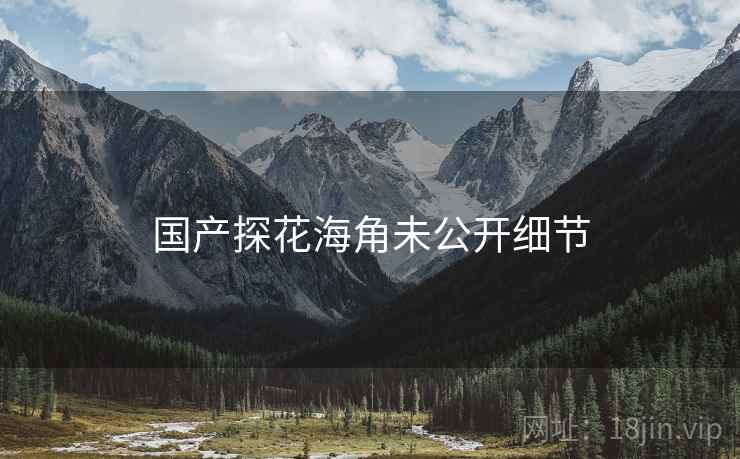 国产探花海角未公开细节