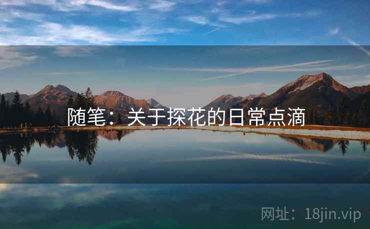 随笔：关于探花的日常点滴