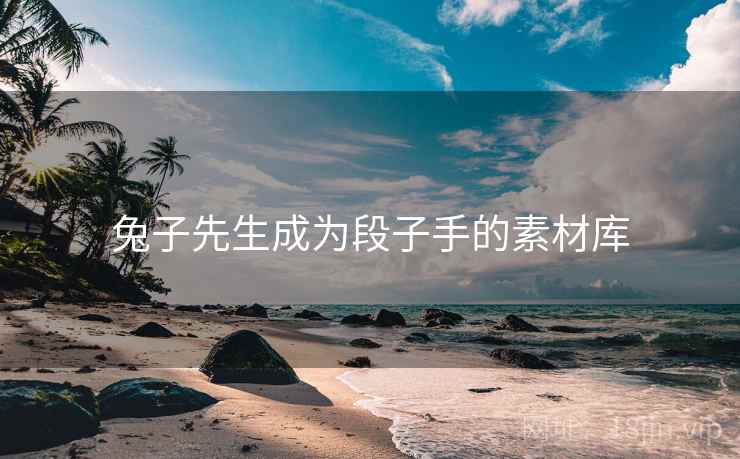 兔子先生成为段子手的素材库