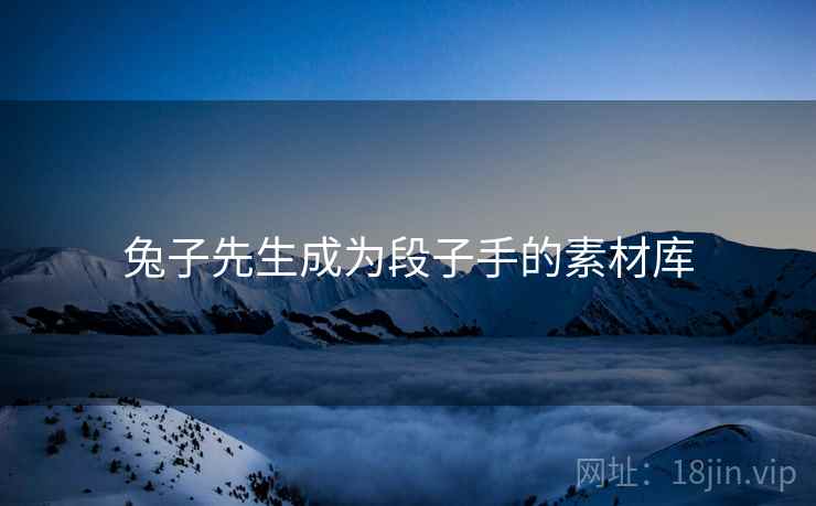 兔子先生成为段子手的素材库