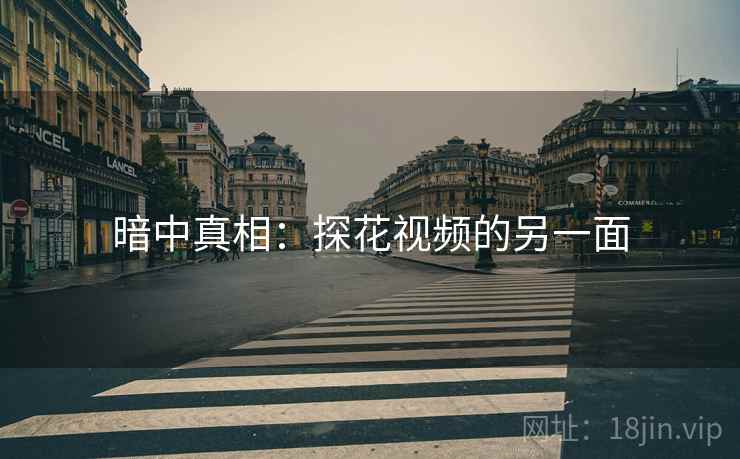 暗中真相：探花视频的另一面