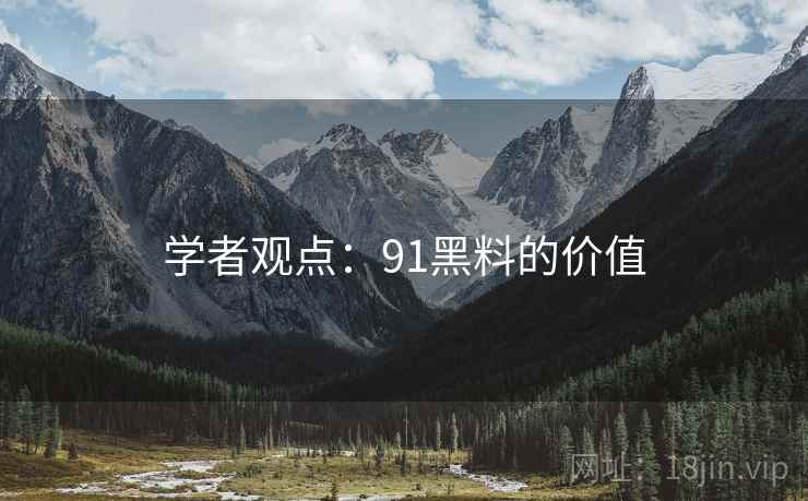 学者观点：91黑料的价值