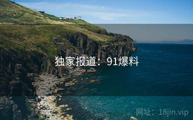 独家报道：91爆料