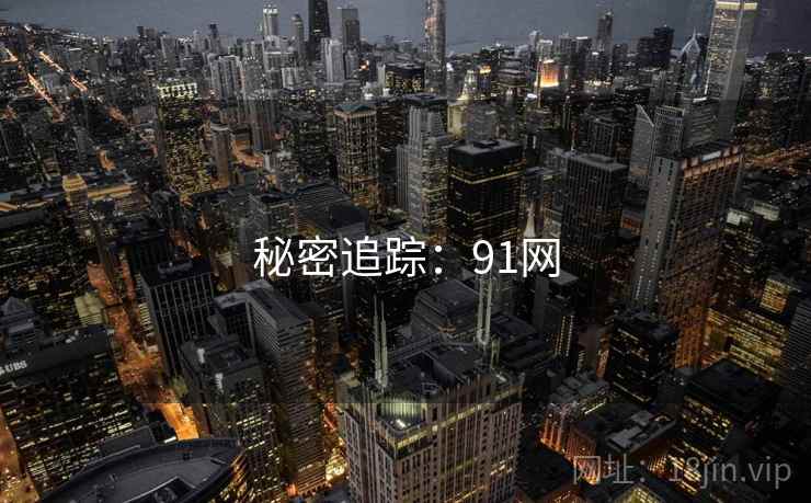 秘密追踪：91网
