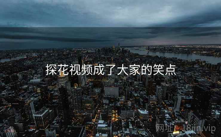 探花视频成了大家的笑点