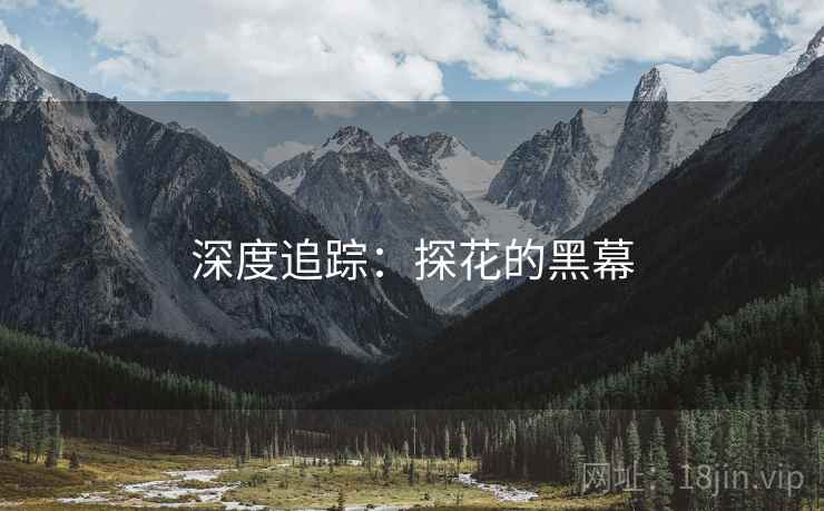 深度追踪：探花的黑幕