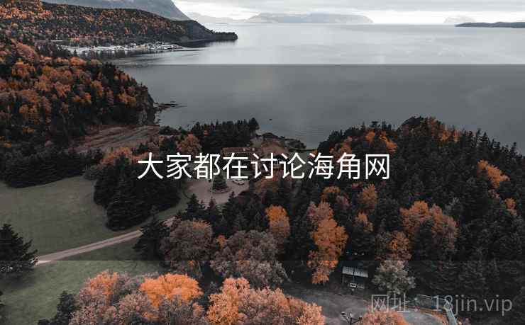 大家都在讨论海角网