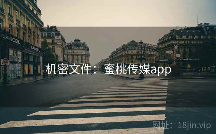 机密文件：蜜桃传媒app