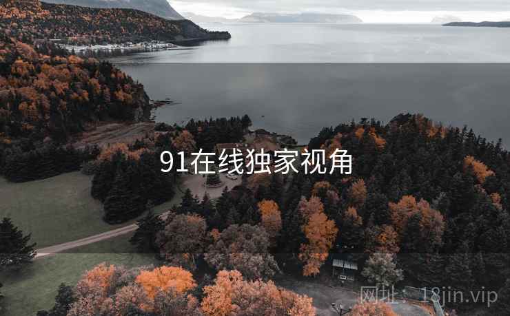 91在线独家视角