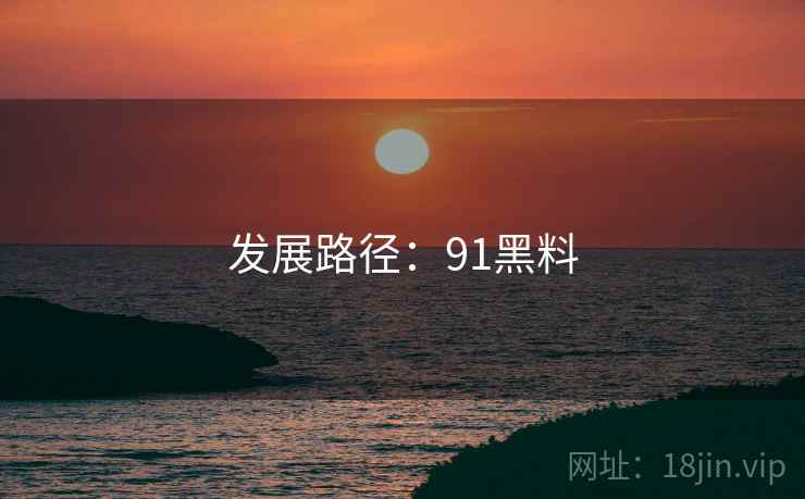 发展路径：91黑料
