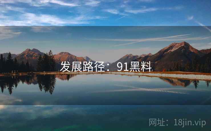 发展路径：91黑料