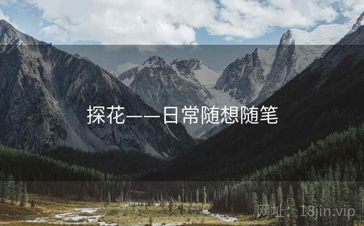 探花——日常随想随笔
