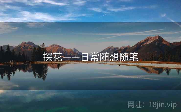 探花——日常随想随笔