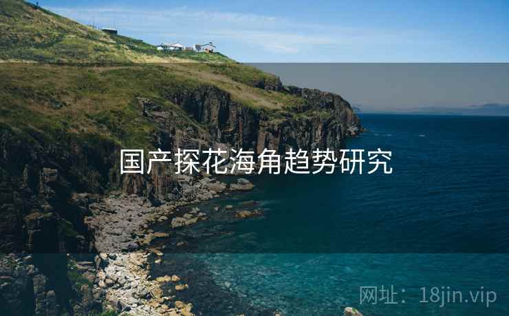 国产探花海角趋势研究