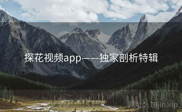 探花视频app——独家剖析特辑
