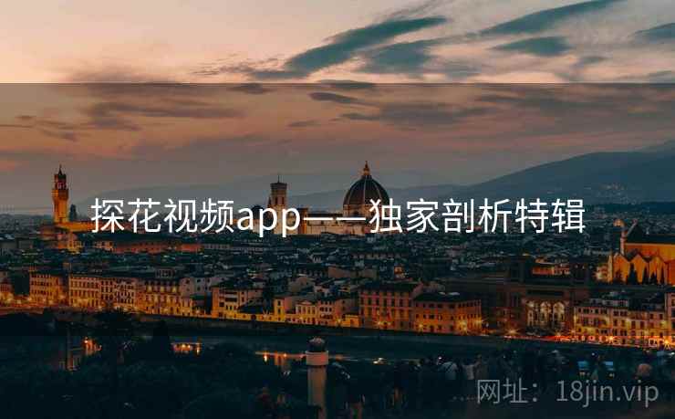探花视频app——独家剖析特辑