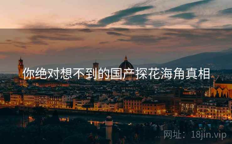 你绝对想不到的国产探花海角真相