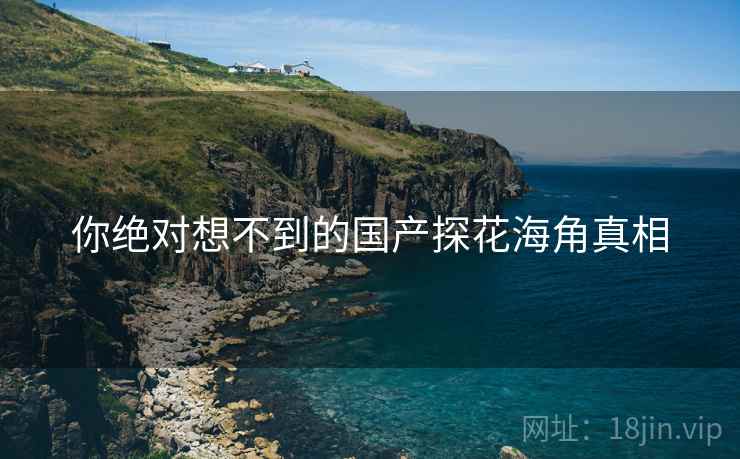 你绝对想不到的国产探花海角真相