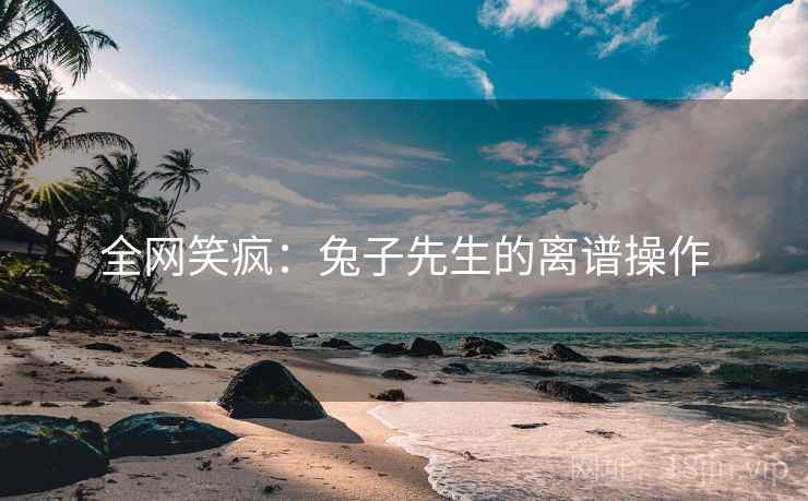 全网笑疯：兔子先生的离谱操作
