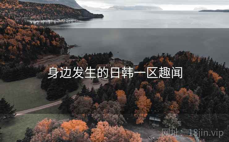 身边发生的日韩一区趣闻
